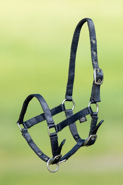 Licol foal nylon - HFI