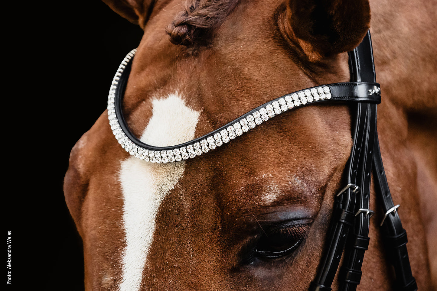 Bridon SP Valencia, noir vernis - Schockemöhle