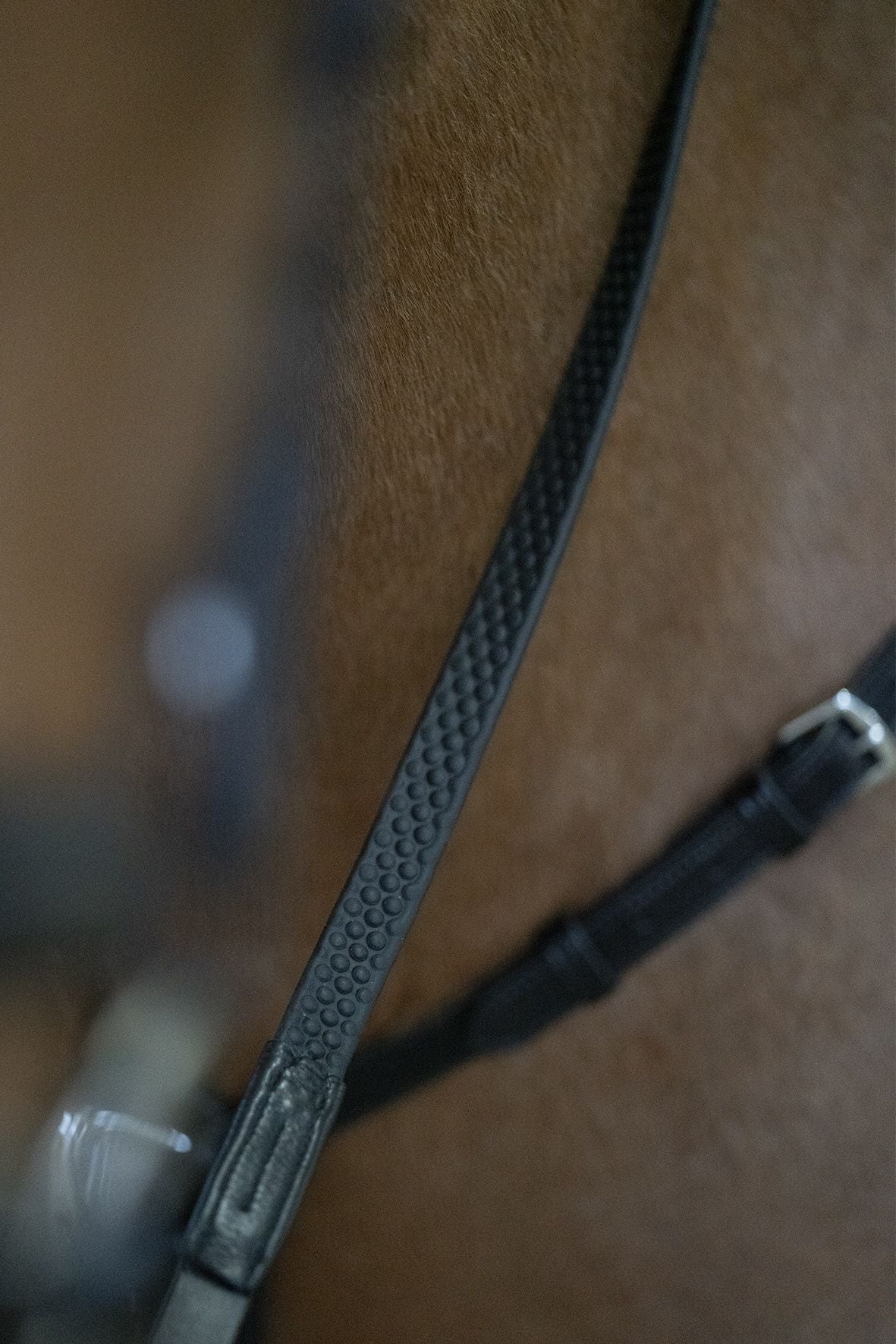 Rênes en caoutchouc SP Soft Dots, marron - Schockemöhle Sports