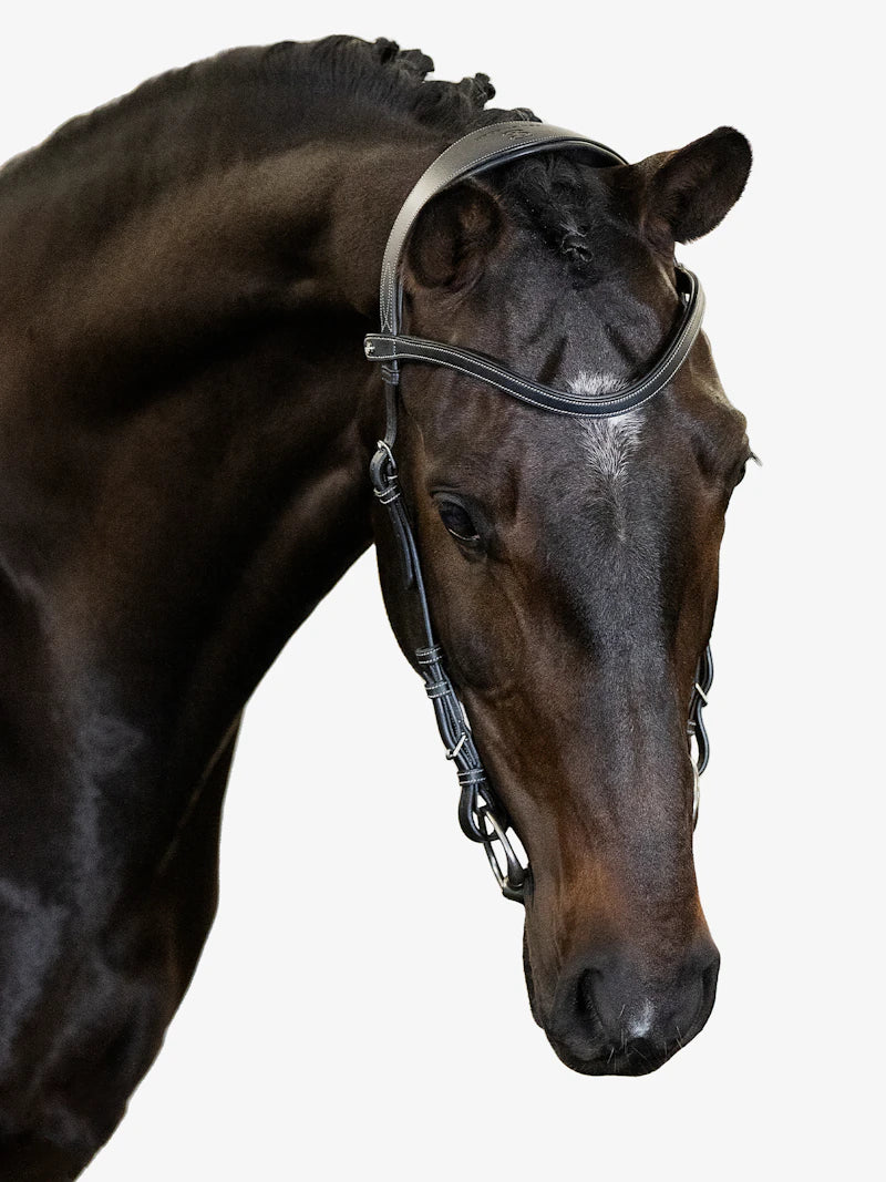 Bridle Helsinki - PS of Sweden