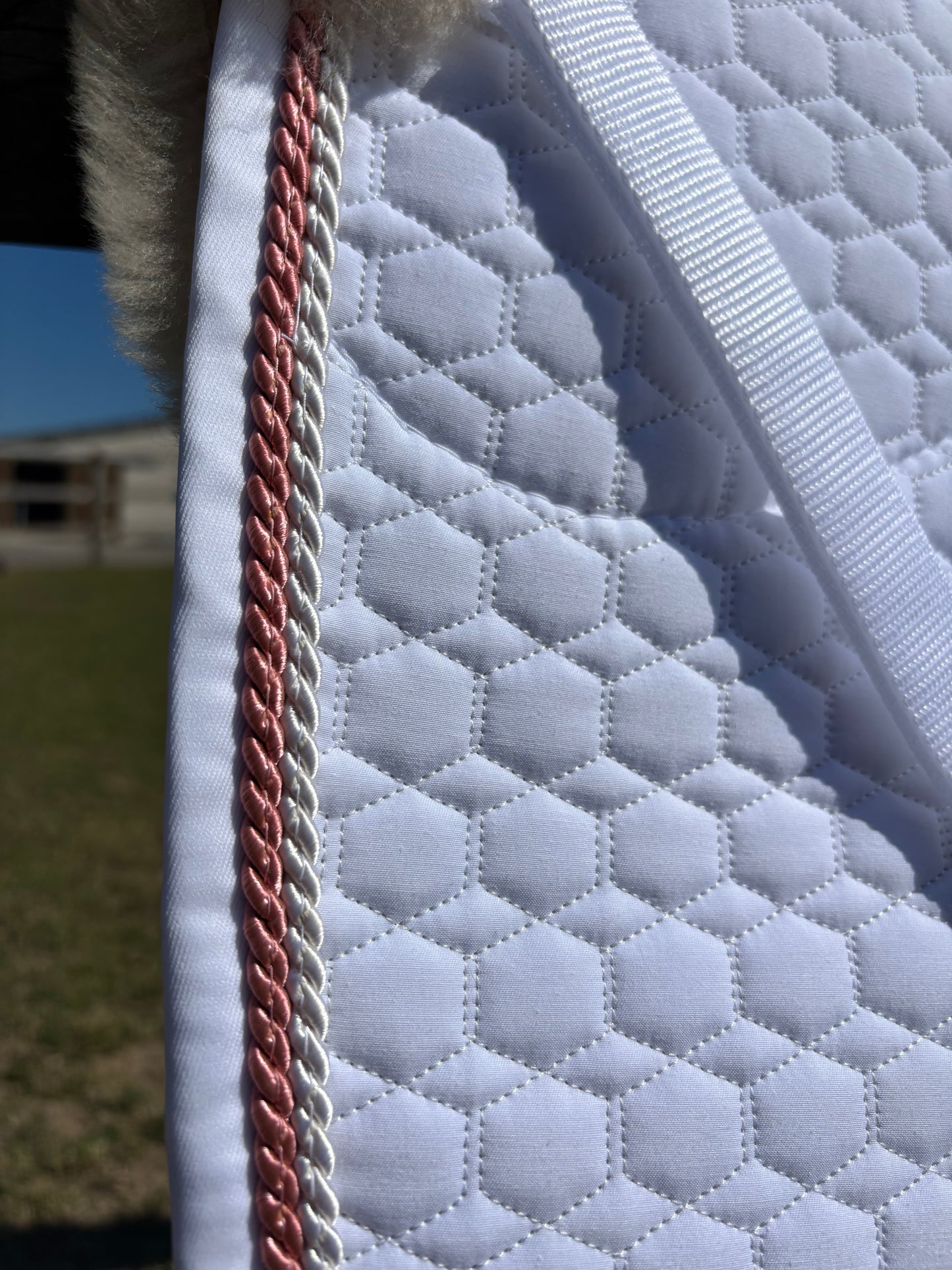 Tapis de dressage Blanc, mouton Platin, bord perle / bonbon - Mattes