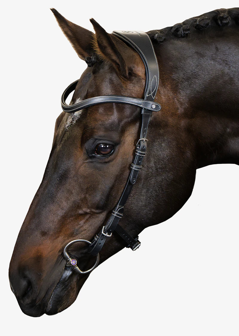 Bridle Helsinki - PS of Sweden