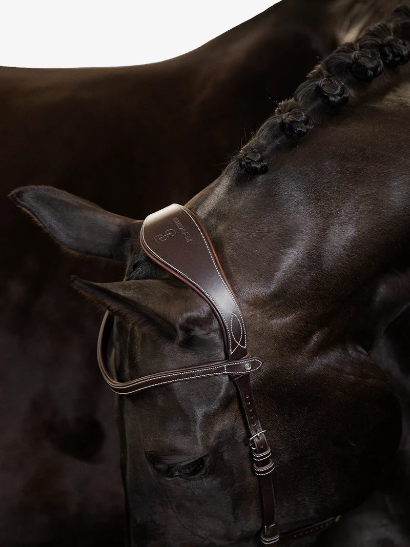 Bridle Helsinki - PS of Sweden