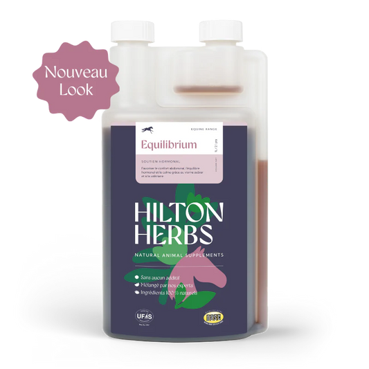 Equilibrium, 1L - Hilton Herbs