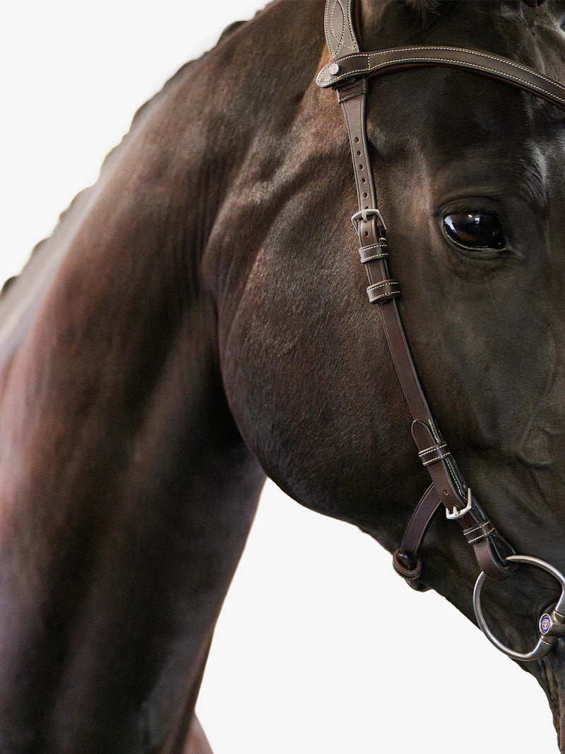 Bridle Helsinki - PS of Sweden