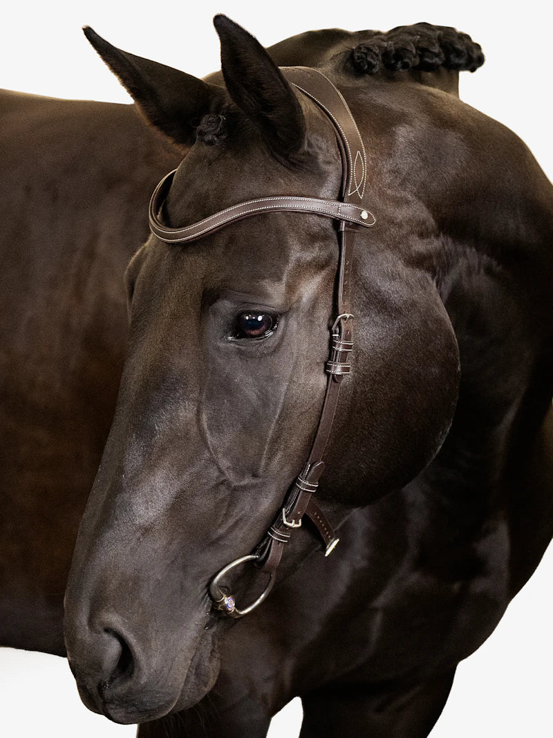 Bridle Helsinki - PS of Sweden