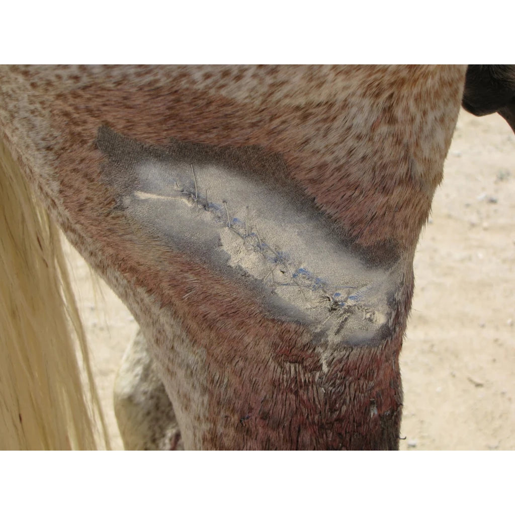 Spray Aluminium Excellent