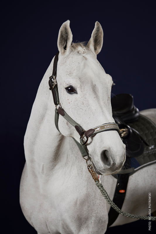 Licol Acron Style, Jungle - Schockemöhle AW 2023