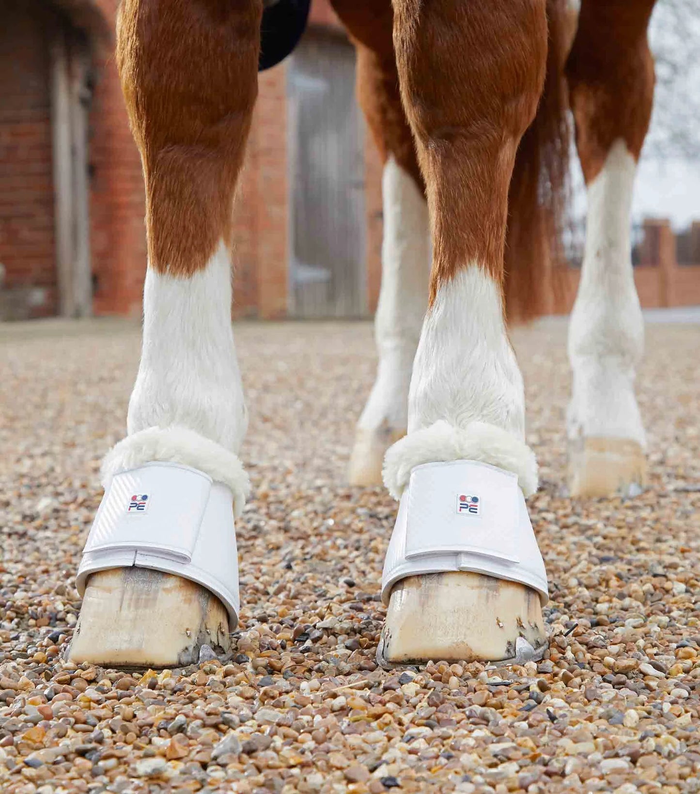 Cloches Carbon Wrap Techno wool, blanc - Premier Equine