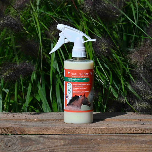 Naturstern - Natural'Innov