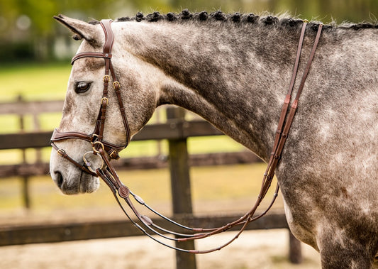 Bridon Falsterbo T-motion - Trust Equestrian