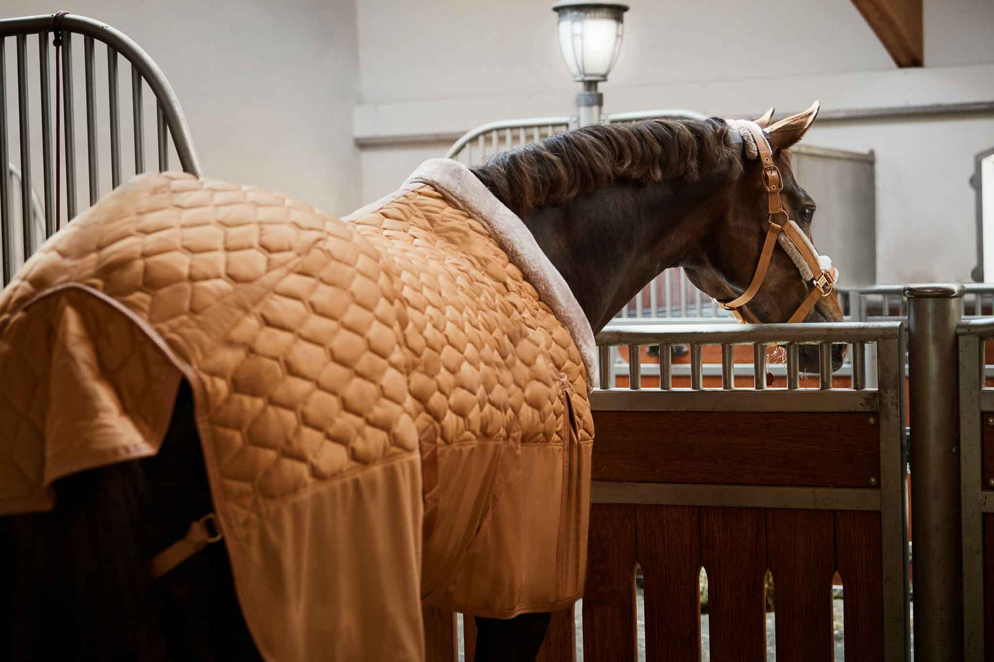 Stable rug Zeta 150gr, cognac - Eskadron Platinum 23/24