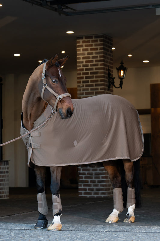 Chemise sweat rug Aerial Jersey, smoky taupe - Eskadron platinum 25