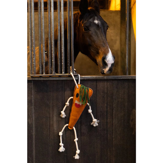 Jouet pour chevaux forme Carotte