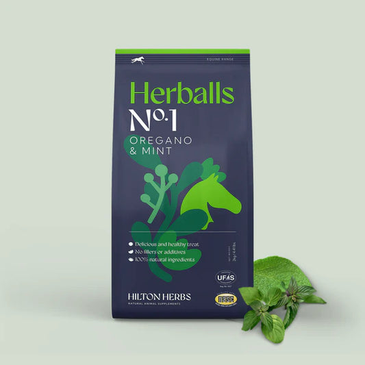 Kräuter, natürliche Leckereien 2kg - Hilton Herbs