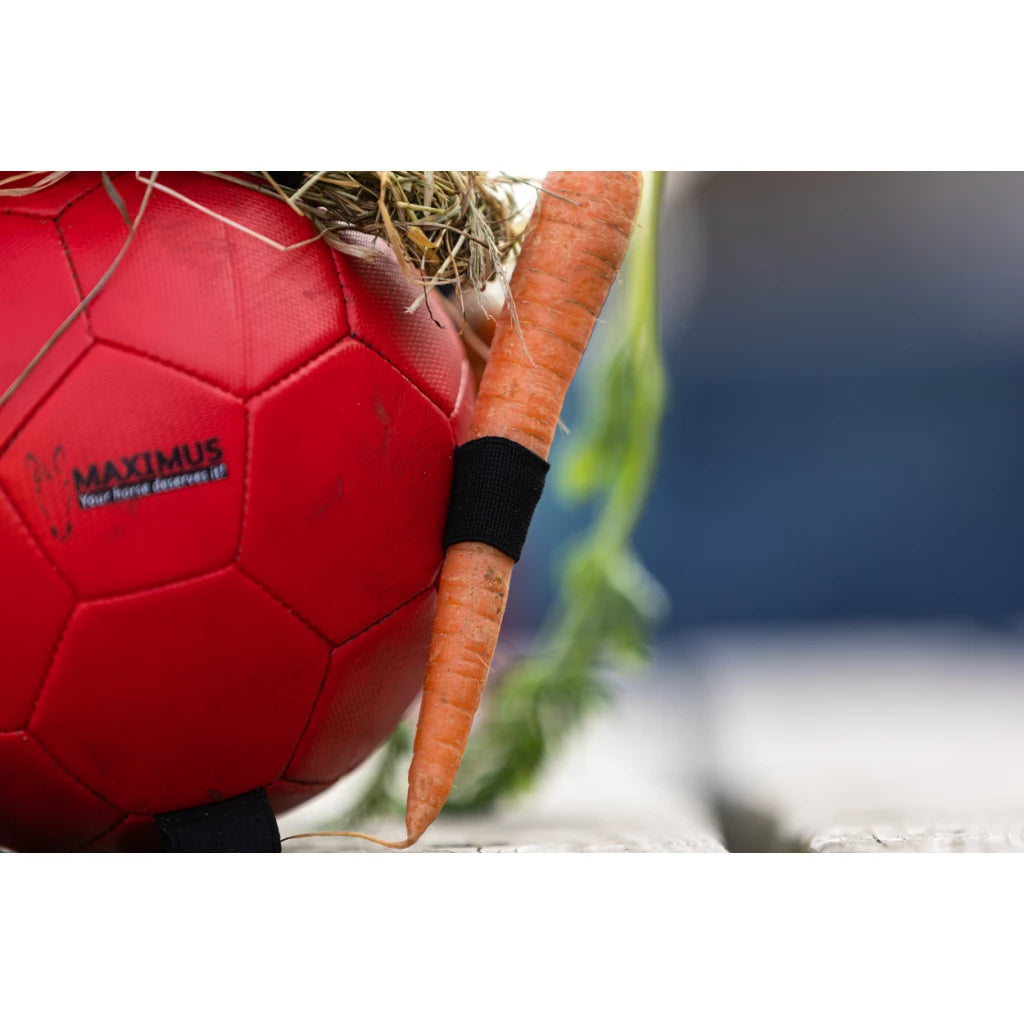 Jouet Fun Play ball