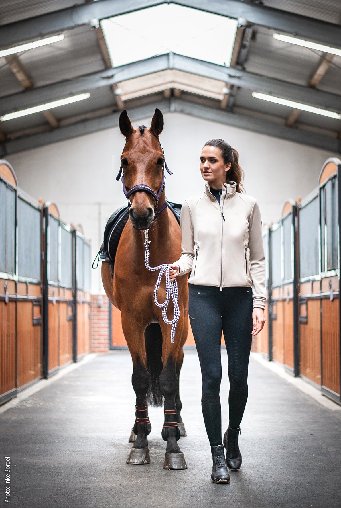 Veste Jersey, SPRica style, cardamom - Schockemöhle AW 24