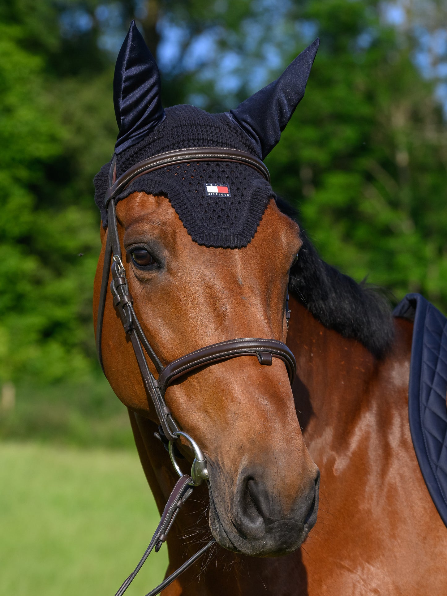 Bonnet Lexington, desert Sky - Tommy Hilfiger