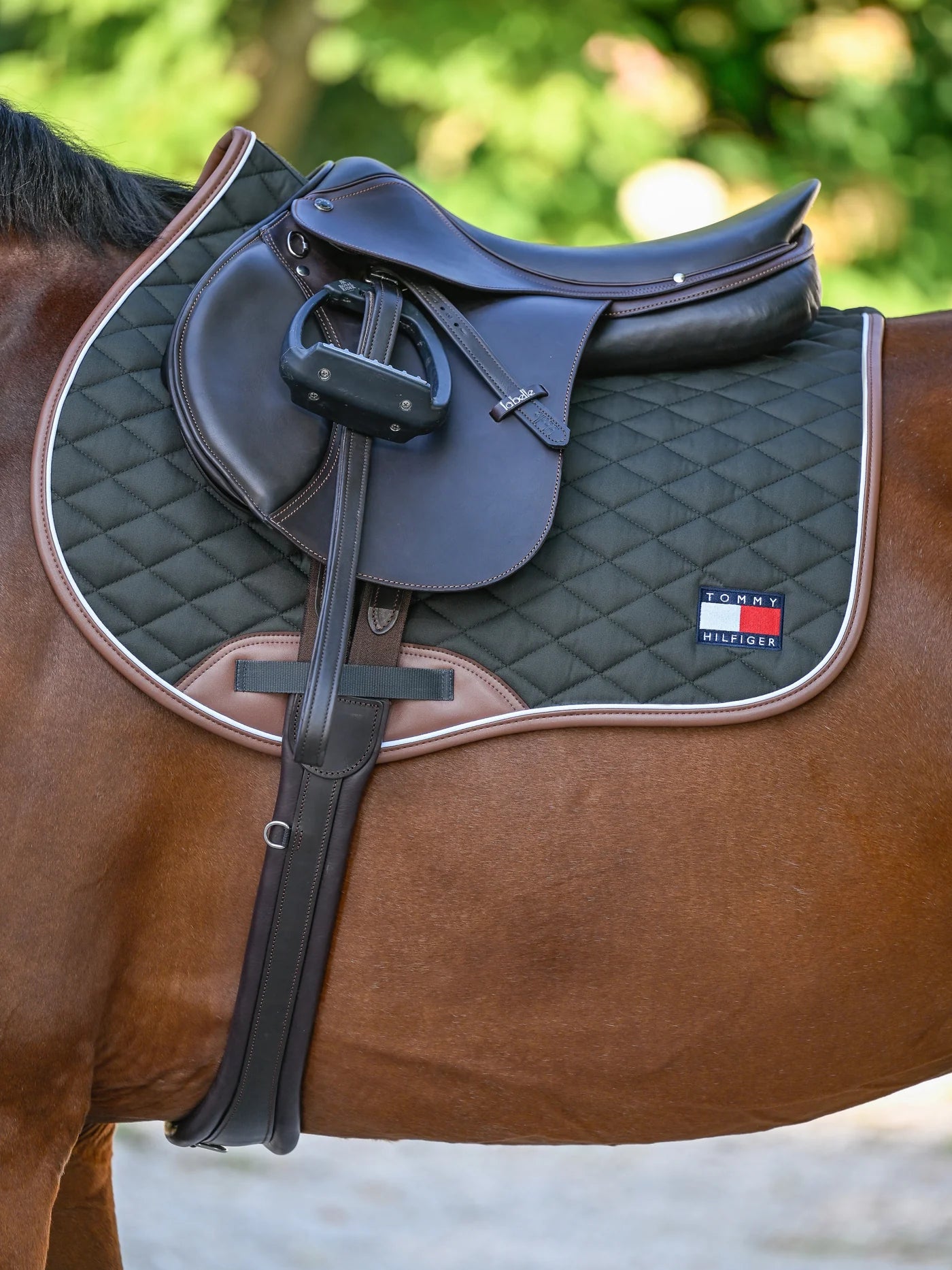 Tapis de selle Priceton - Tommy Hilfiger AW 25