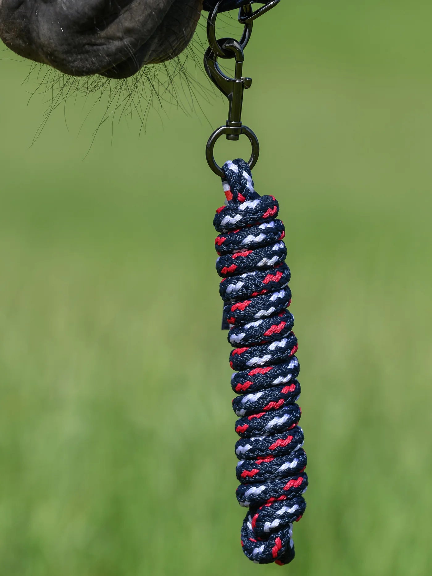 Set licol et longe - Tommy Hilfiger AW 25