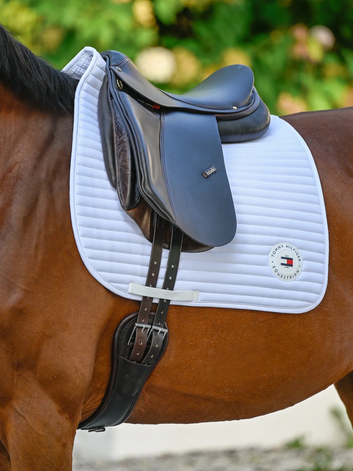 Tapis de selle Upstate - Tommy Hilfiger AW 25
