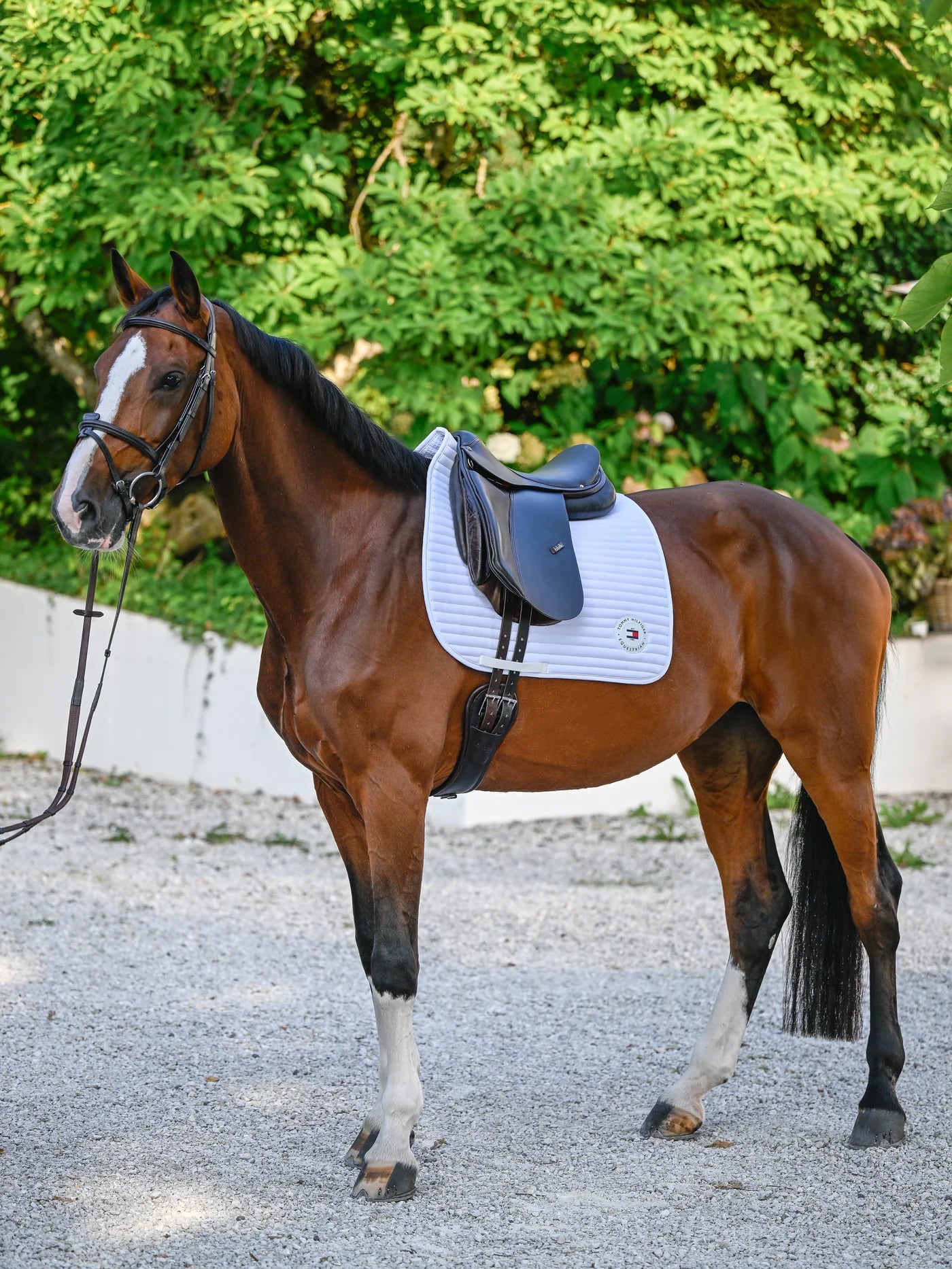 Tapis de selle Upstate - Tommy Hilfiger AW 25