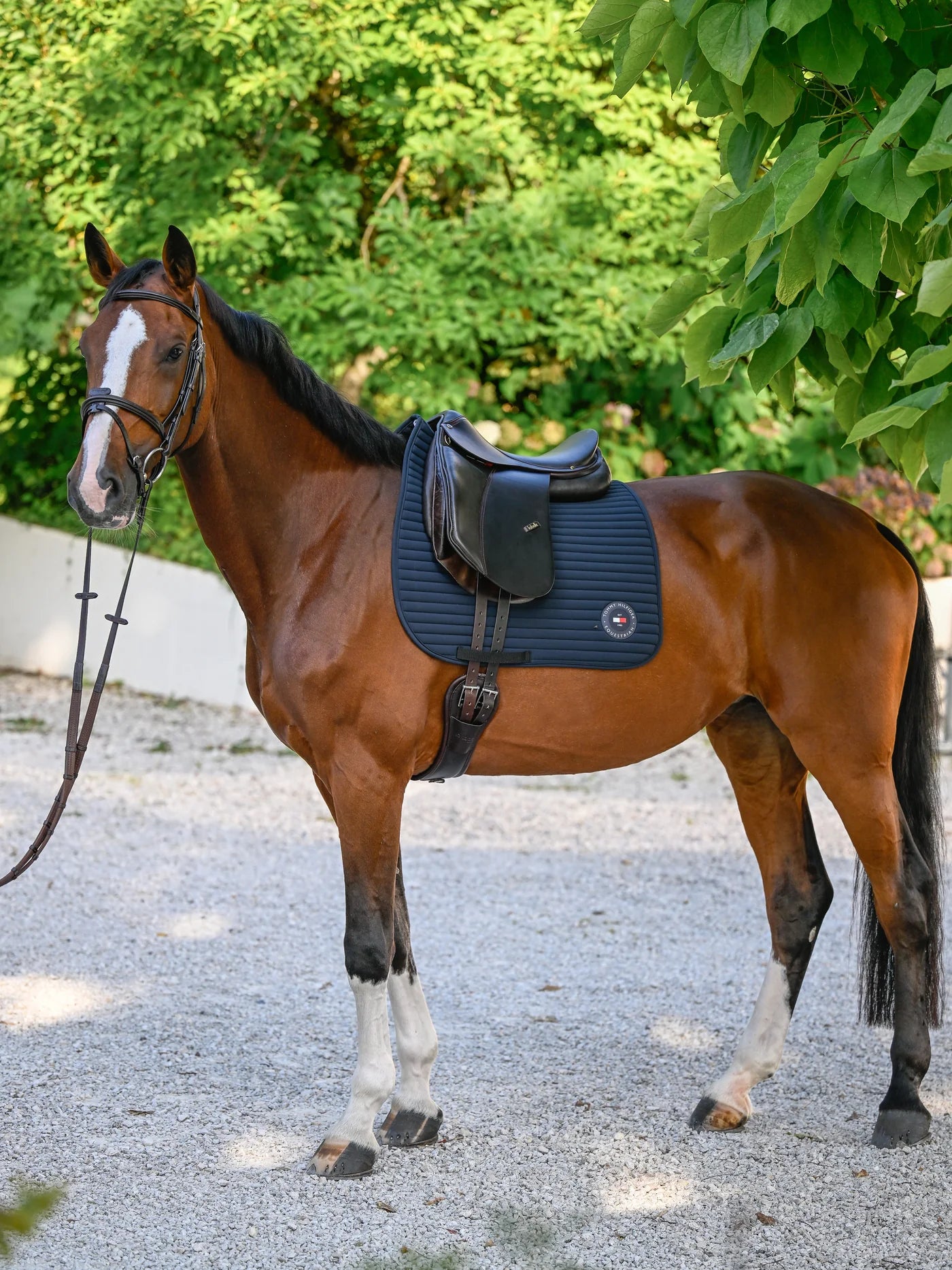 Tapis de selle Upstate - Tommy Hilfiger AW 25