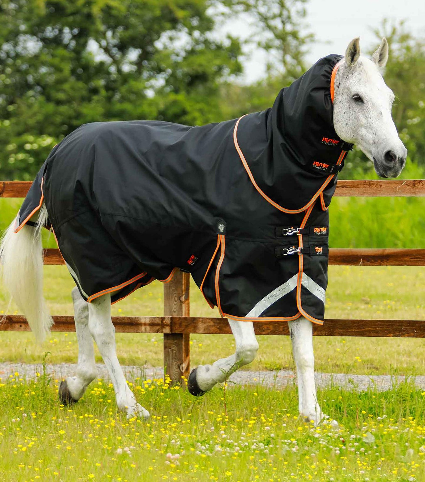 Couverture imperméable, Titan 300gr cou-amovible - Premier Equine