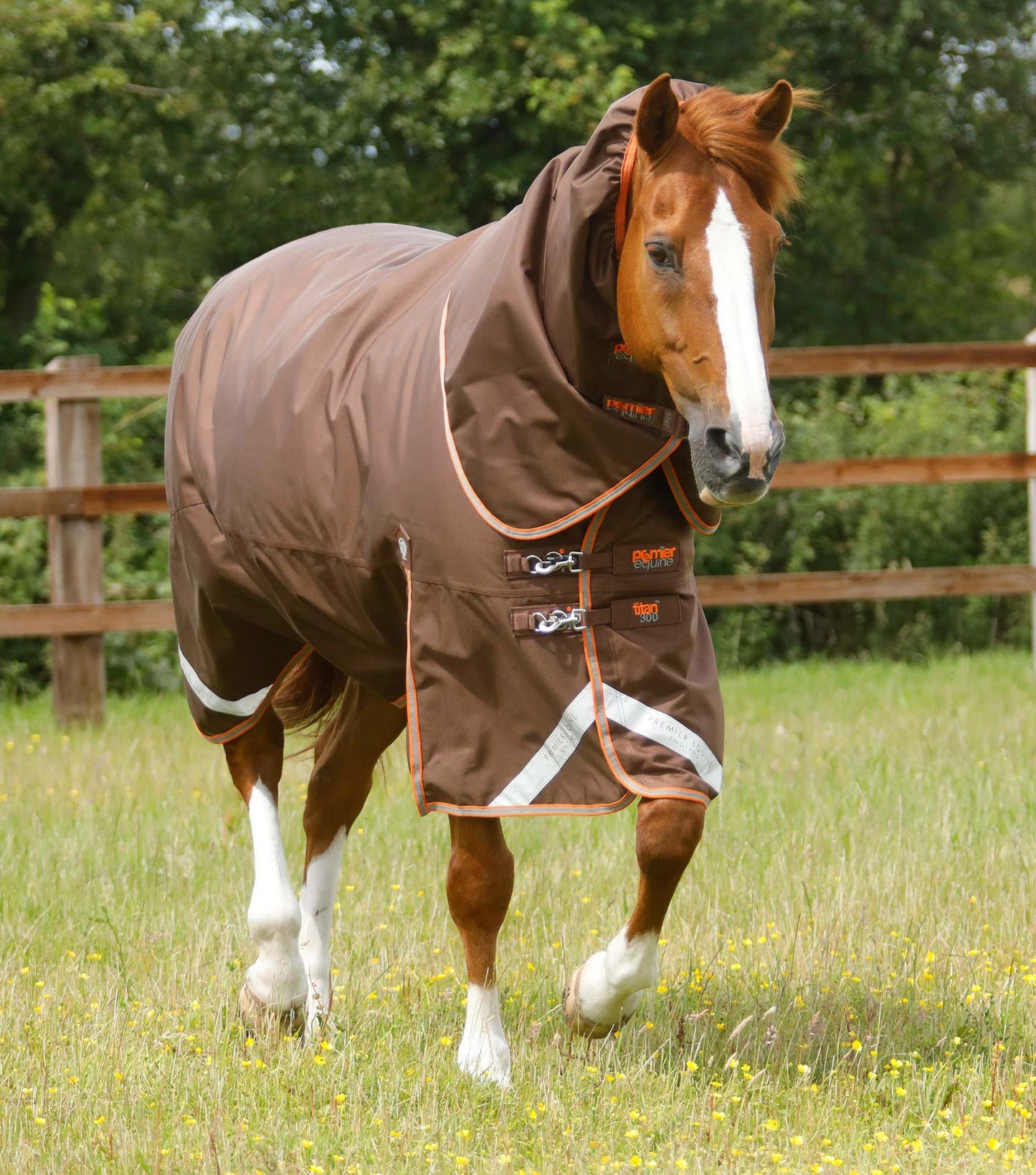 Couverture imperméable, Titan 300gr cou-amovible - Premier Equine