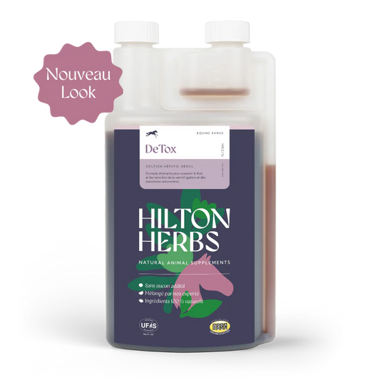 Detox Gold, 1 l - Hilton Herbs