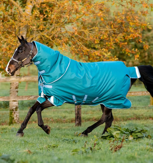Couverture Amigo Bravo 12 Plus  400gr, Storm Green - Horseware