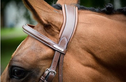 Bridon London, Collection One -Jump'In