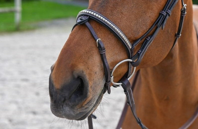 Bridon Clincher Noisette doublé noir, Collection one - Jump'in