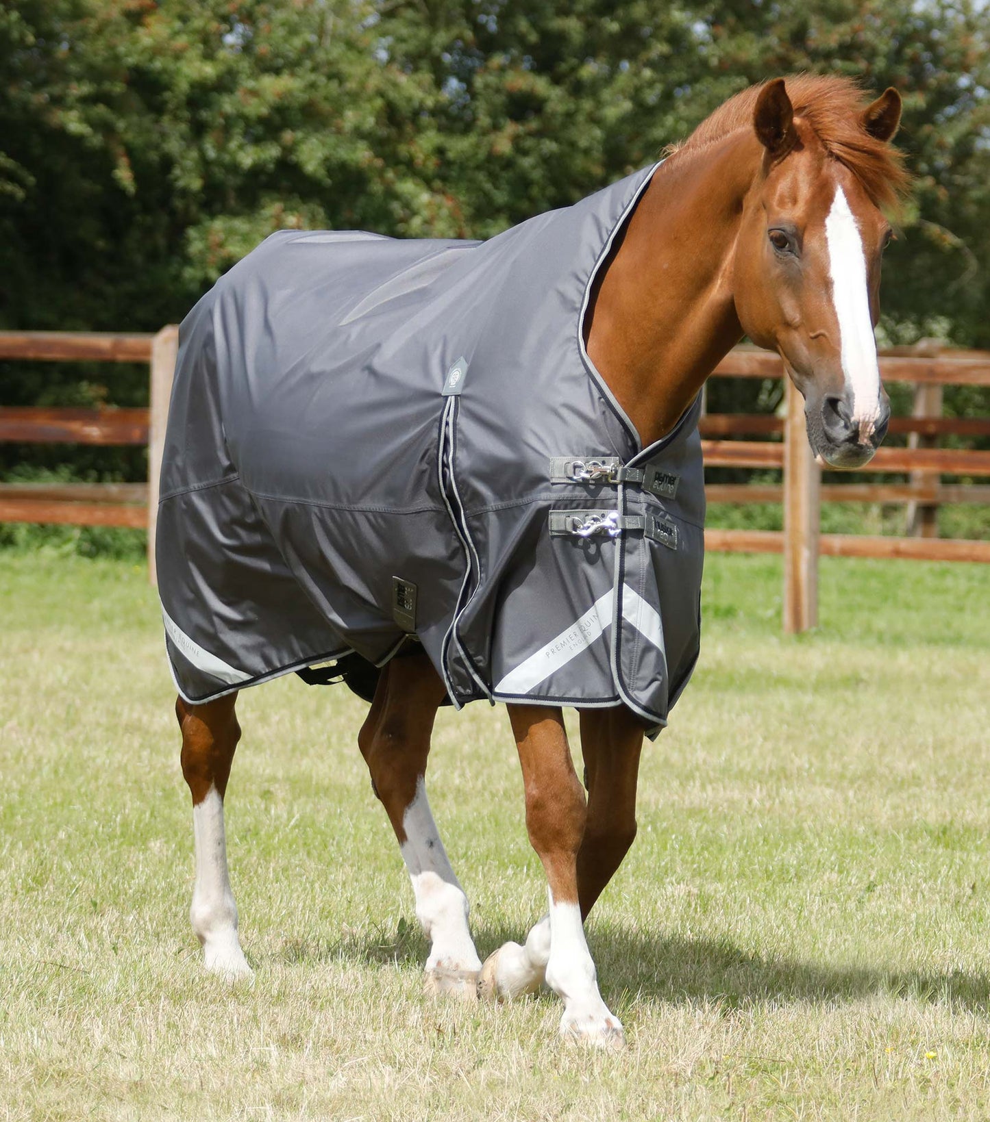 Couverture imperméable, Buster Hardy 0gr - Premier Equine