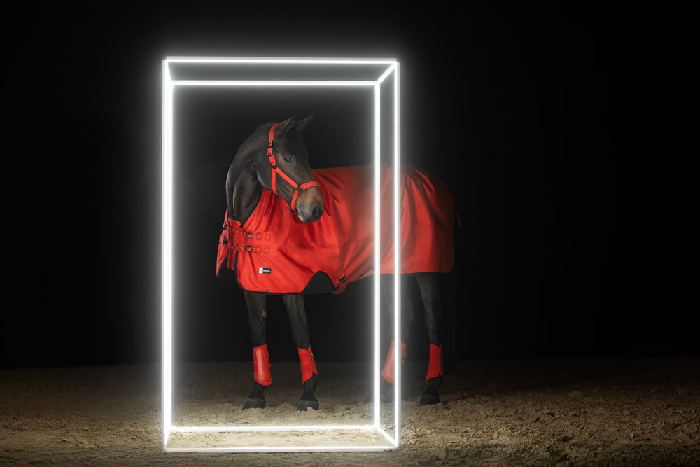 Couverture Turnout rug Beta 50 - Eskadron Dynamic 2025