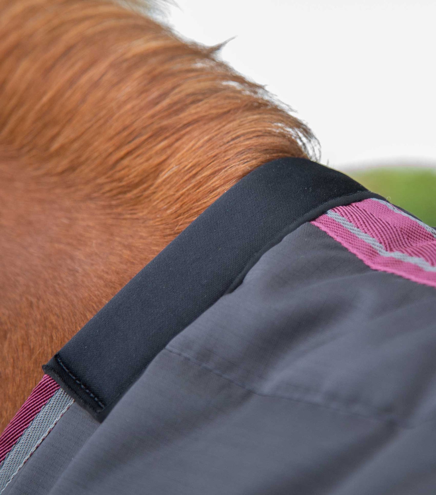 Couverture de box, Garissa 200gr - Premier Equine