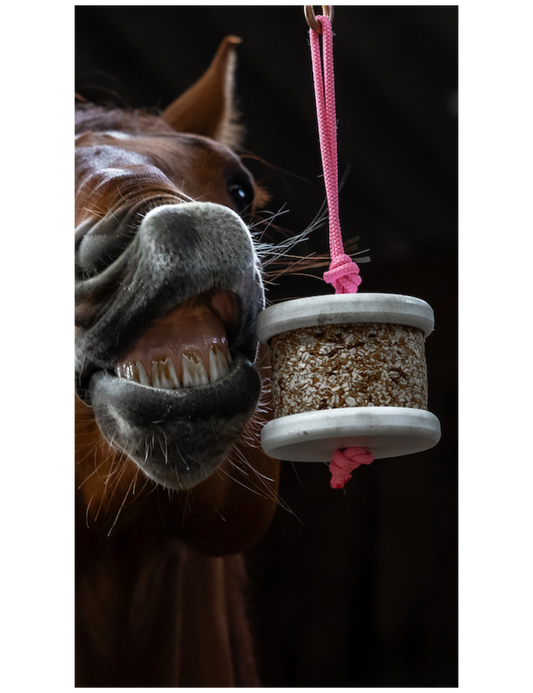 Happy wild Detox, Carottes - Pissenlit Bio - Happy Crackers