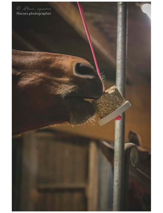 Happy wild Respi, Menthe poivrée - Romarin Bio. - Happy Crackers