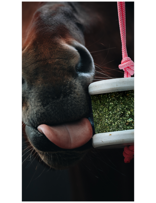 Happy wild Salts,  Sel de Guérande et minéraux naturels - Happy Crackers