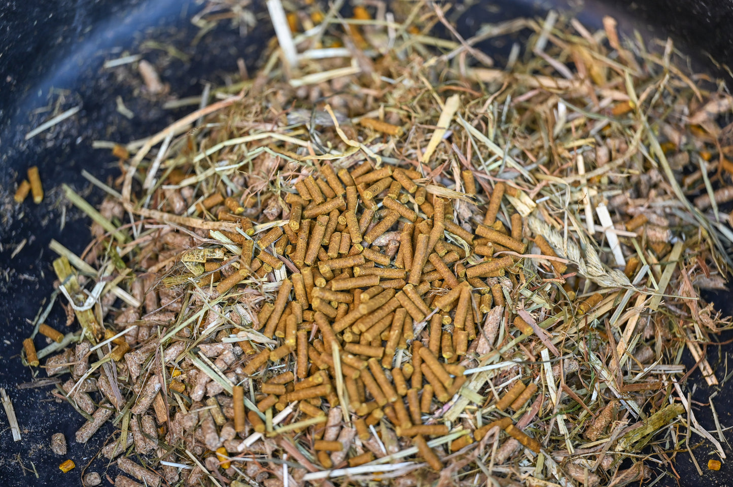 Natural'Immune , Horse immunity, 1.2kg - Natural'Innov