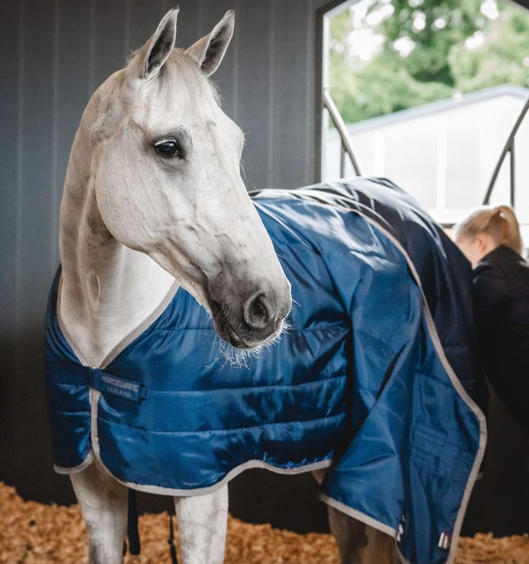 Ionic Therapy Liner - Horseware
