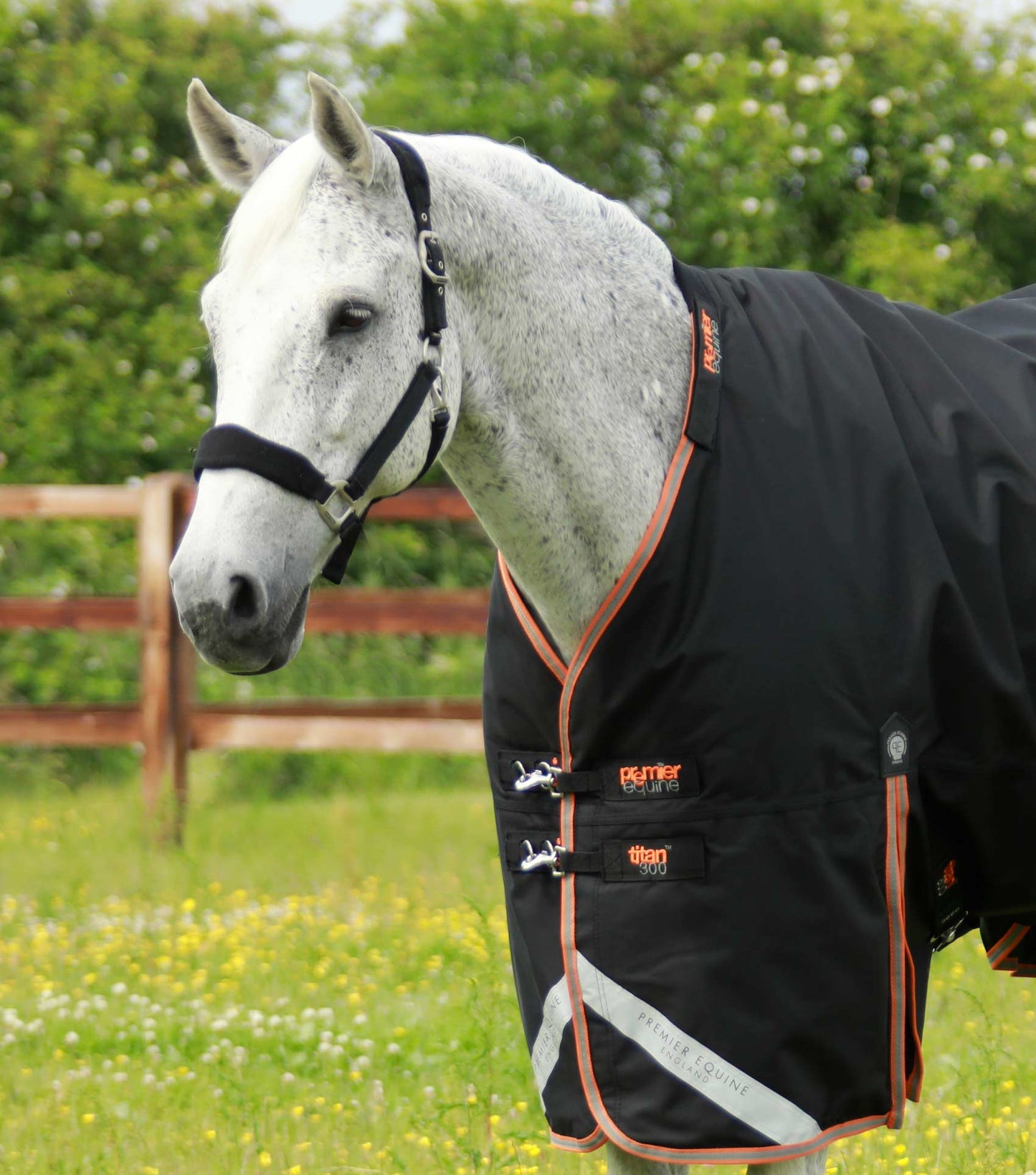 Couverture imperméable, Titan 300gr cou-amovible - Premier Equine