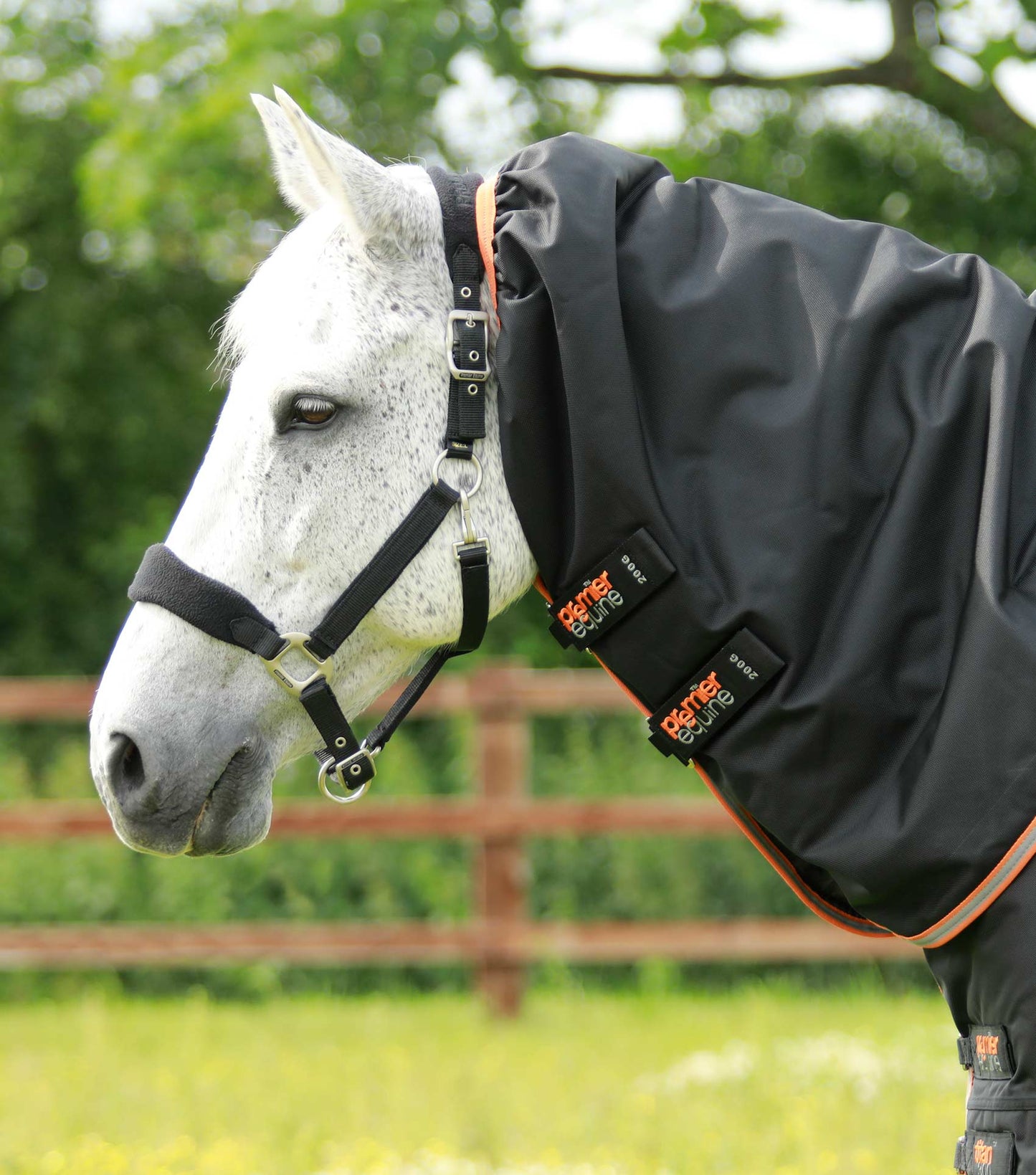 Couverture imperméable, Titan 300gr cou-amovible - Premier Equine