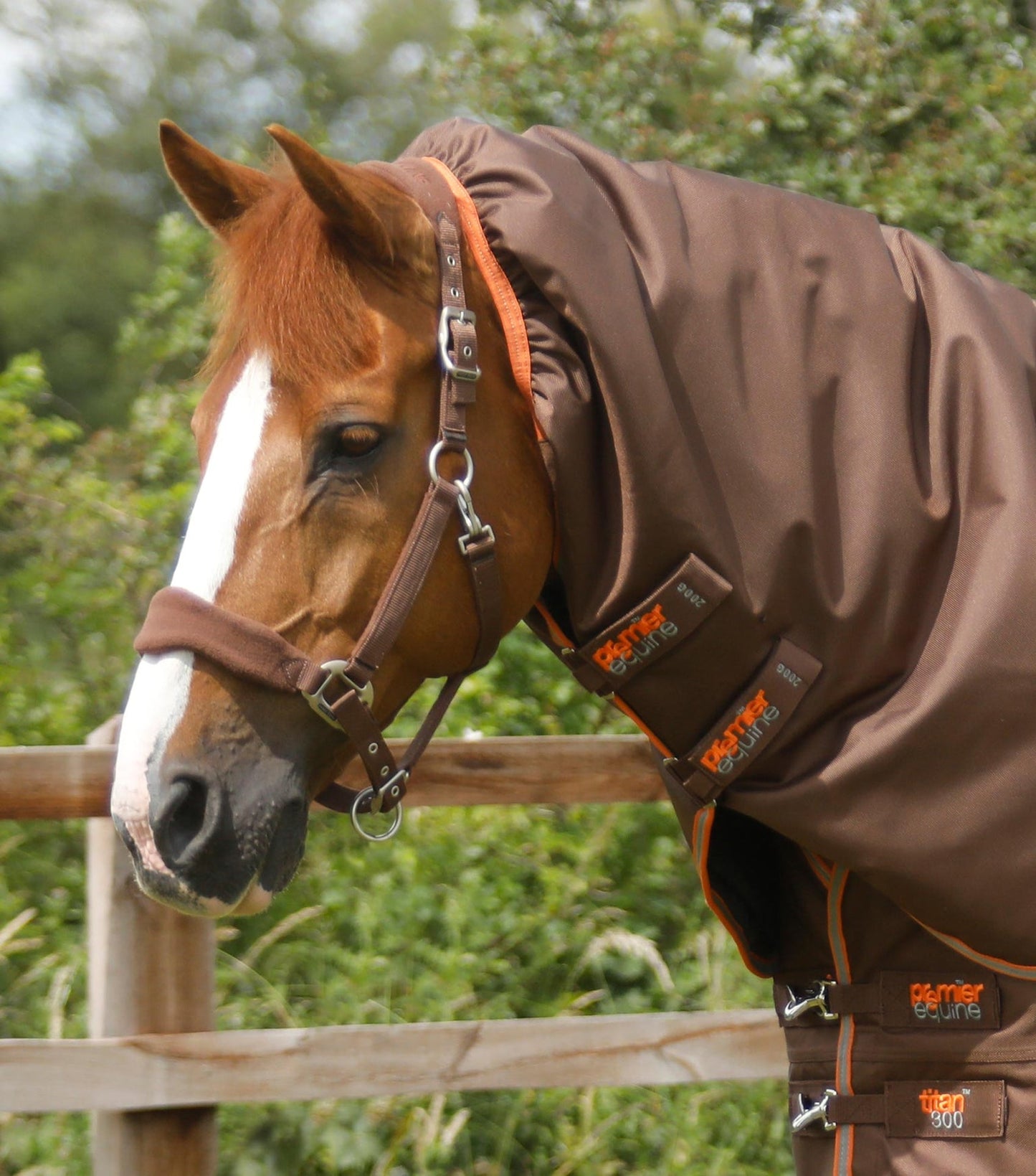 Couverture imperméable, Titan 300gr cou-amovible - Premier Equine