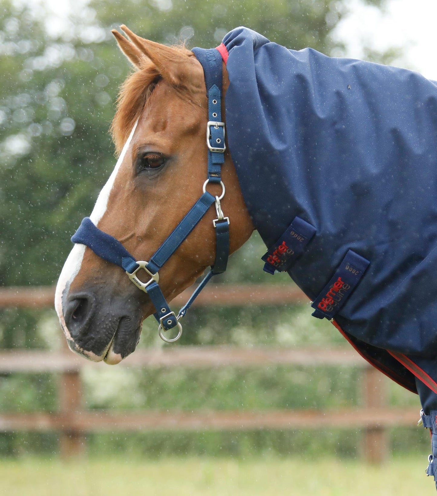 Couverture imperméable, Titan 450gr cou-amovible - Premier Equine