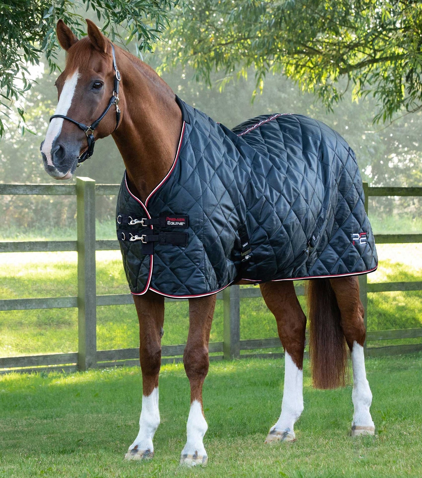 Couverture de box Tuscan 100gr - Premier Equine