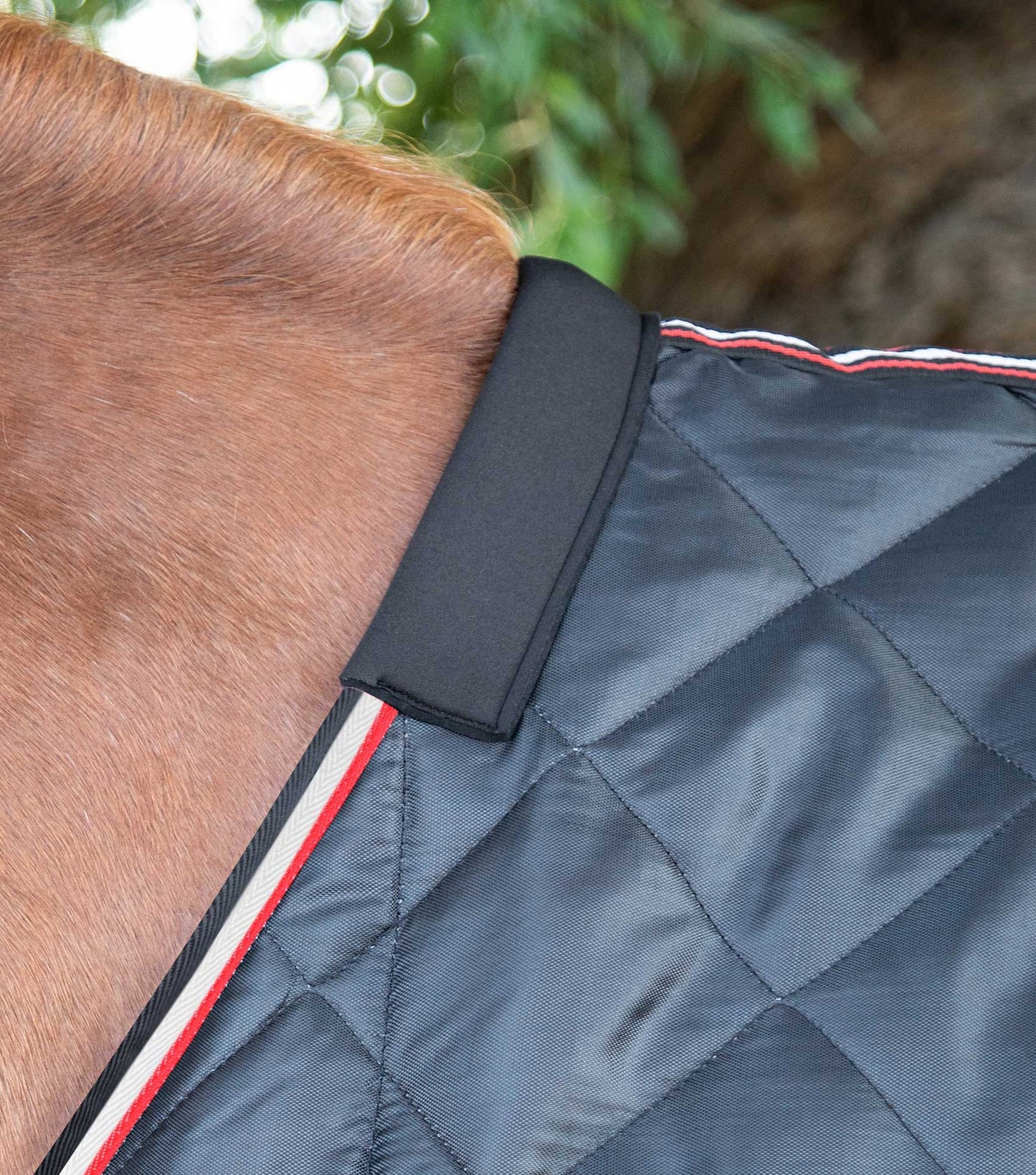 Couverture de box Tuscan 100gr - Premier Equine