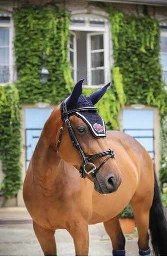 Marineblaue und weiße Mütze - Jump'In