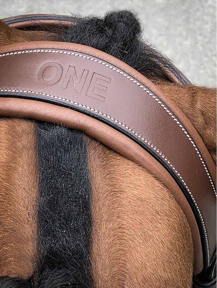 Bridon Bruxelles, Collection One -Jump'In