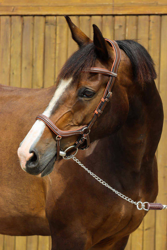 Trense New York, Kollektion Eins - Jump'In